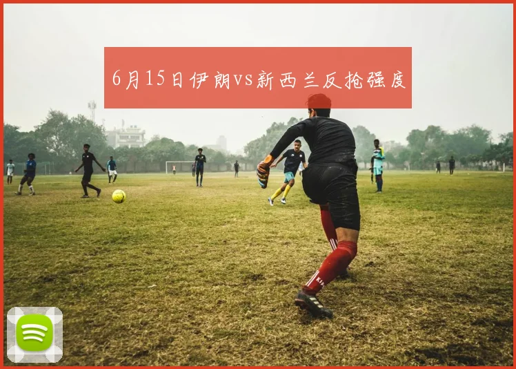 6月15日伊朗vs新西兰反抢强度