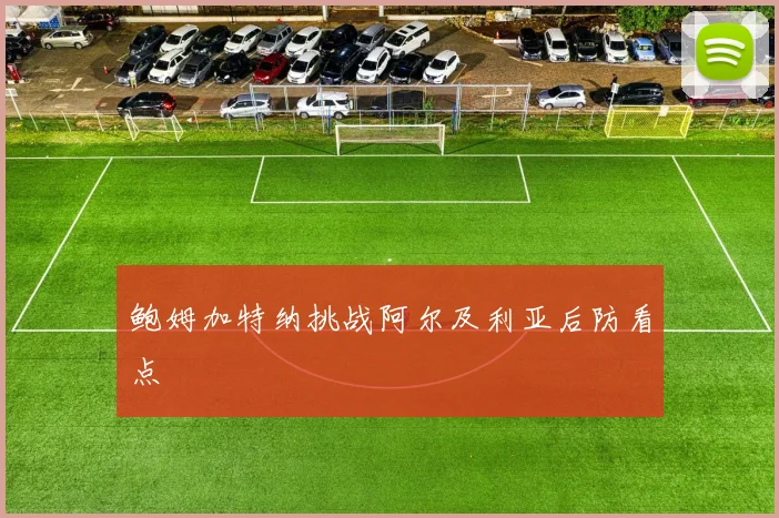 鲍姆加特纳挑战阿尔及利亚后防看点