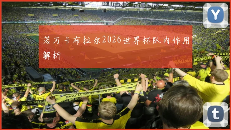 若万卡布拉尔2026世界杯队内作用解析