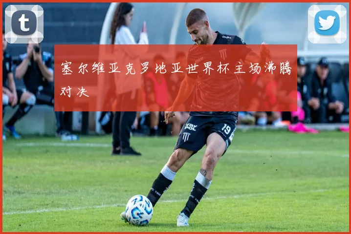 塞尔维亚克罗地亚世界杯主场沸腾对决