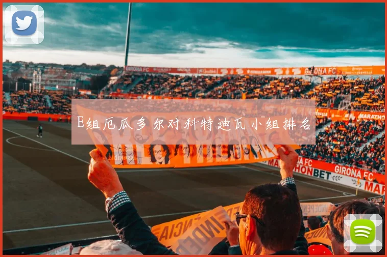 E组厄瓜多尔对科特迪瓦小组排名