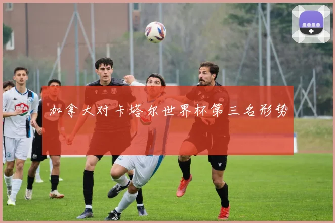 加拿大对卡塔尔世界杯第三名形势