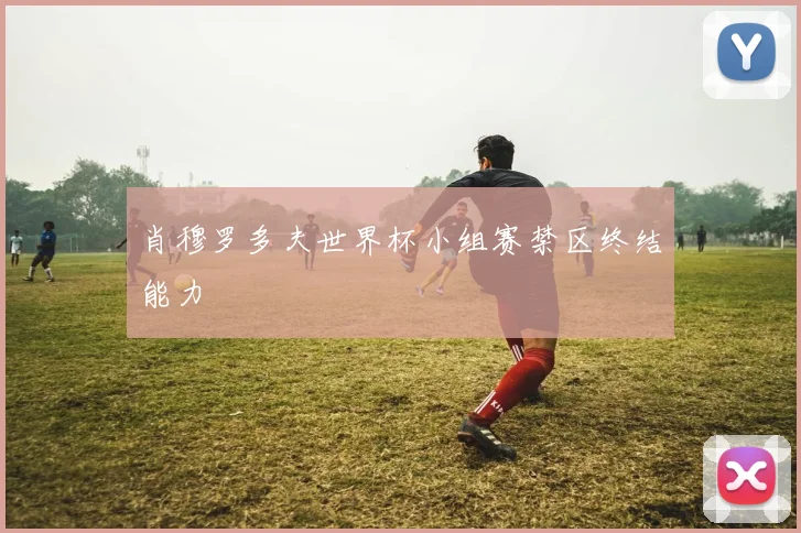 肖穆罗多夫世界杯小组赛禁区终结能力