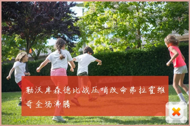 勒沃库森德比战压哨改命弗拉霍维奇全场沸腾