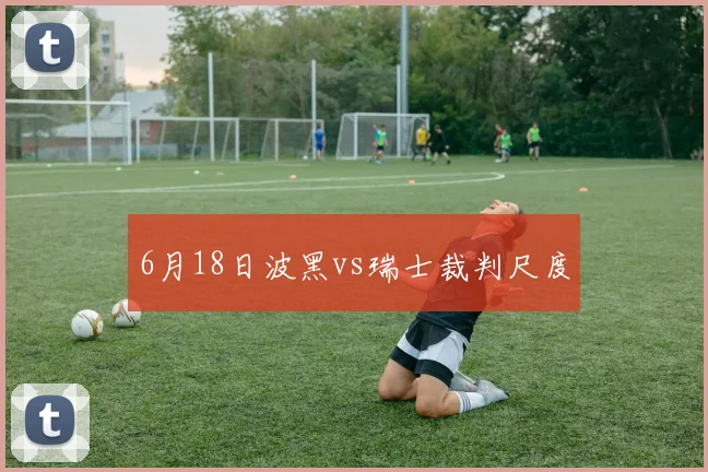 6月18日波黑vs瑞士裁判尺度