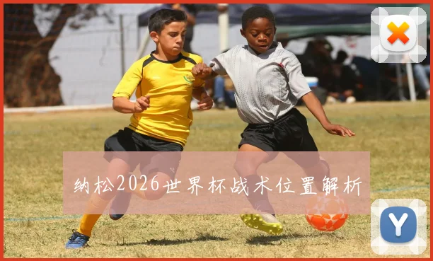 纳松2026世界杯战术位置解析