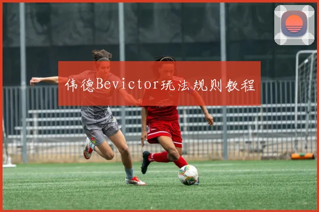 伟德Bevictor玩法规则教程