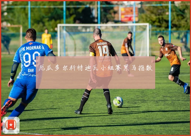 厄瓜多尔科特迪瓦小组赛黑马指数